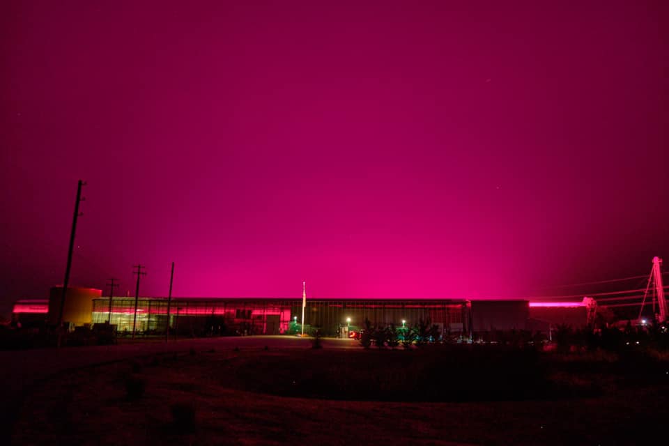 Lighting up the Greenhouse for Breast Cancer Awareness