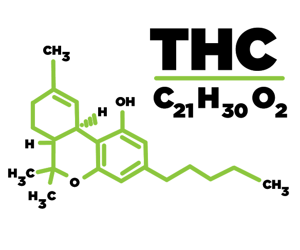 THC Molecule Diagram