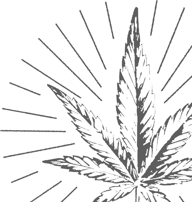 leaf-placeholder.jpg